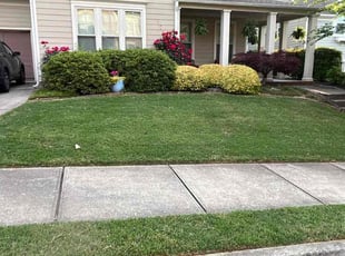 Aislinn M.'s turf maintenance service result