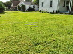 Kimberly G.'s lawn service service result