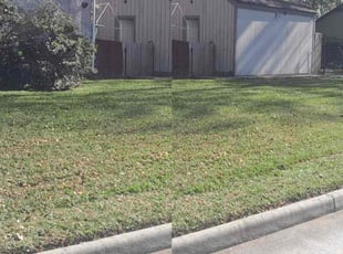 Johnetta E.'s lawn maintenance service result