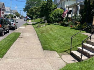 Angelica A.'s lawn care service result