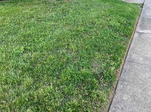 Rhonda M.'s lawn service service result