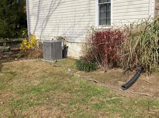 Wayne W.'s lawn care services service result