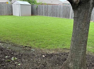 Tommy M.'s grass cutting service result