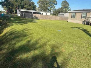 Dorothy B.'s grass cutting service result