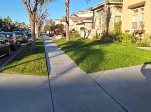 Patricia D.'s grass maintenance service result