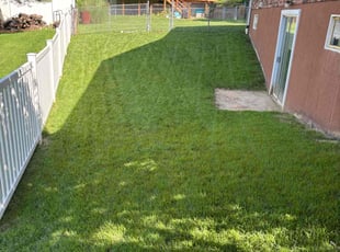 Chris K.'s turf maintenance service result
