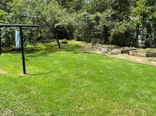 Dave O.'s turf maintenance service result