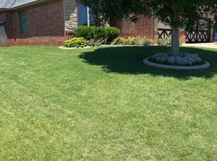 Kylee A.'s grass maintenance service result