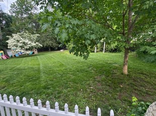 Ethel S.'s turf care service result