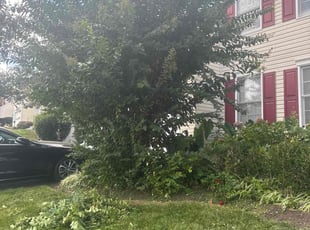 Kyle H.'s Bush Trimming service result