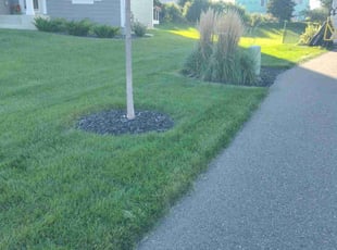 Jennifer R.'s turf maintenance service result