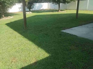 Misha H.'s lawn maintenance service result