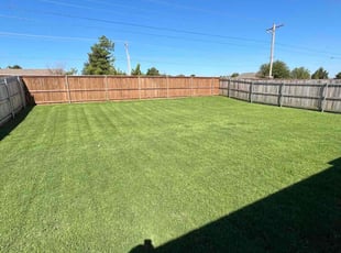 Teddy C.'s lawn service service result