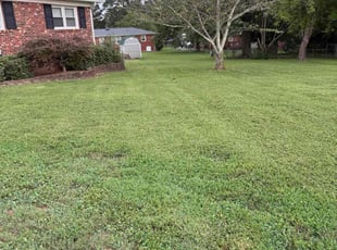 Doyle K.'s lawn care service result