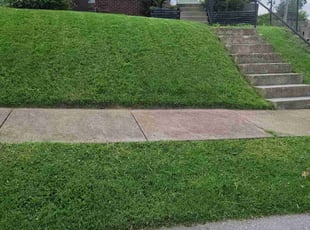 Mya W.'s grass cutting service result
