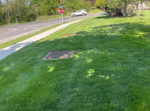 Sarah B.'s lawn maintenance service result