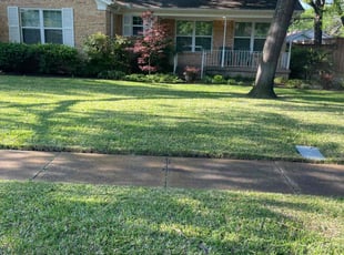 Angela M.'s lawn service service result