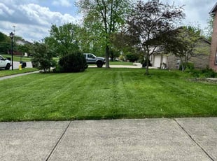 Louise P.'s grass cutting service result