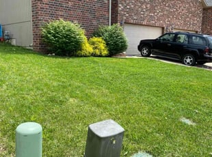 Sandy H.'s lawn care service result