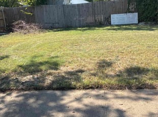 Juan G.'s turf care service result