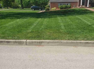 Kathy D.'s landscape maintenance service result