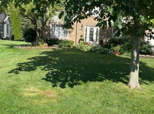 Geniece D.'s lawn care services service result