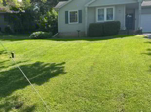 Sarah M.'s grass cutting service result