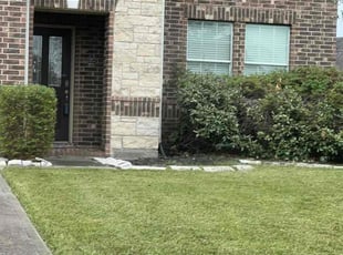 John W.'s Bush Trimming service result