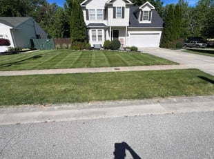 Dana G.'s yard care service result