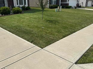 Marion B.'s lawn service service result