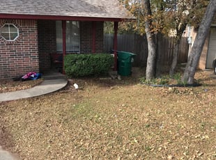Tamara R.'s Bush Trimming service result