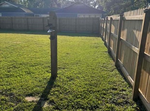 Emmanuel M.'s lawn care services service result