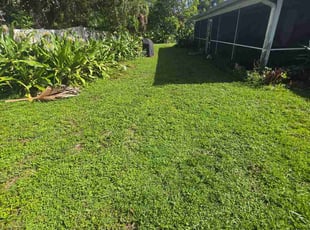 David H.'s turf maintenance service result