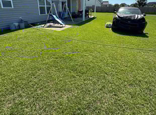 Ying L.'s lawn service service result