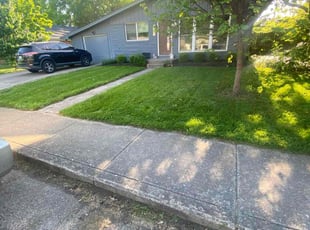 Ross M.'s grass maintenance service result