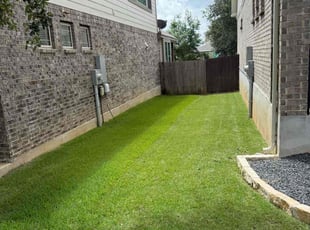 Sammie M.'s turf care service result