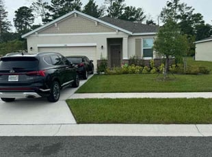 Anthony Y.'s grass maintenance service result