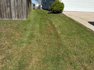 Daniel D.'s grass cutting service result