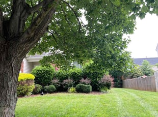 Lynn A.'s lawn care services service result