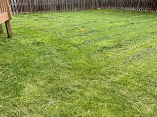 Joyce W.'s lawn care service result