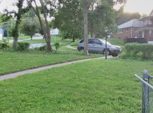 Cordell K.'s Bush Trimming service result