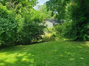 Cody B.'s lawn care service result