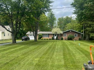 Sarah W.'s lawn care service result