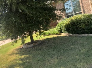 Douglas S.'s Bush Trimming service result