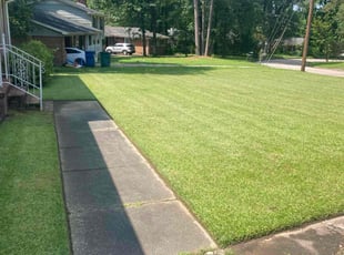 Patricia G.'s lawn maintenance service result
