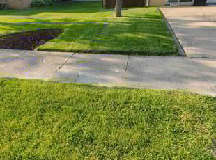 Paul S.'s lawn care service result