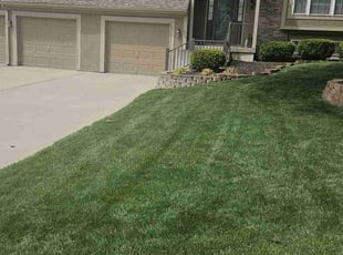 Judith V.'s grass cutting service result