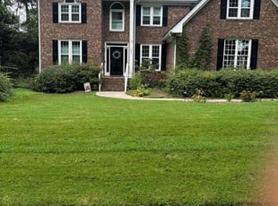 Rachel C.'s turf maintenance service result