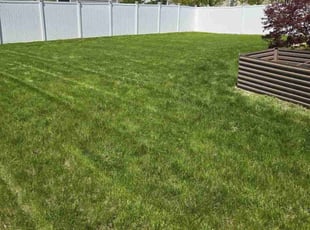 Cortney S.'s turf maintenance service result