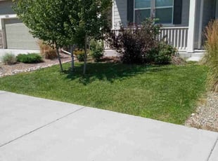 Kareem W.'s lawn service service result